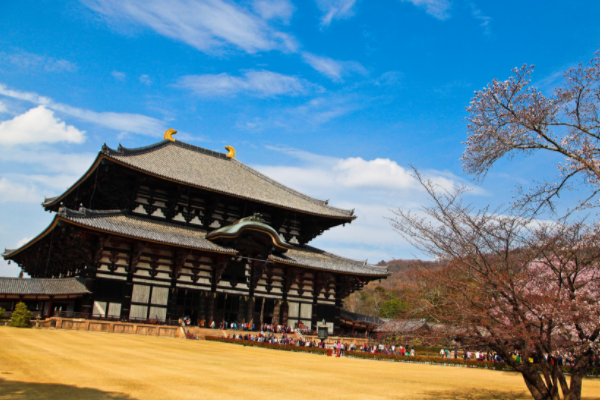 去日本旅游大约要多少费用（去日本旅游(自由行)大约一个月大概需要多少钱）