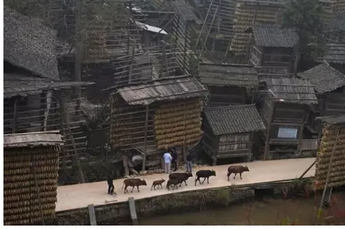 肇兴侗寨旅游攻略,武汉到肇兴侗寨旅游攻略