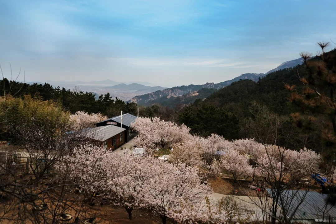 青岛旅游景点哪些是必去的（青岛免费旅游景点）