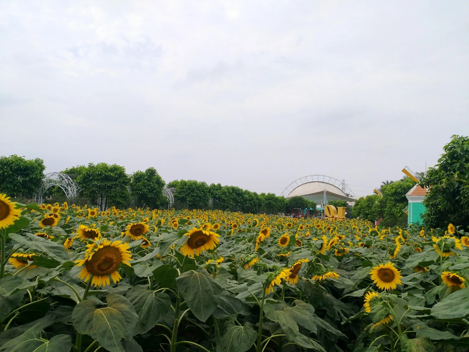 广州晚上有什么旅游景点（珠江旅游景点）