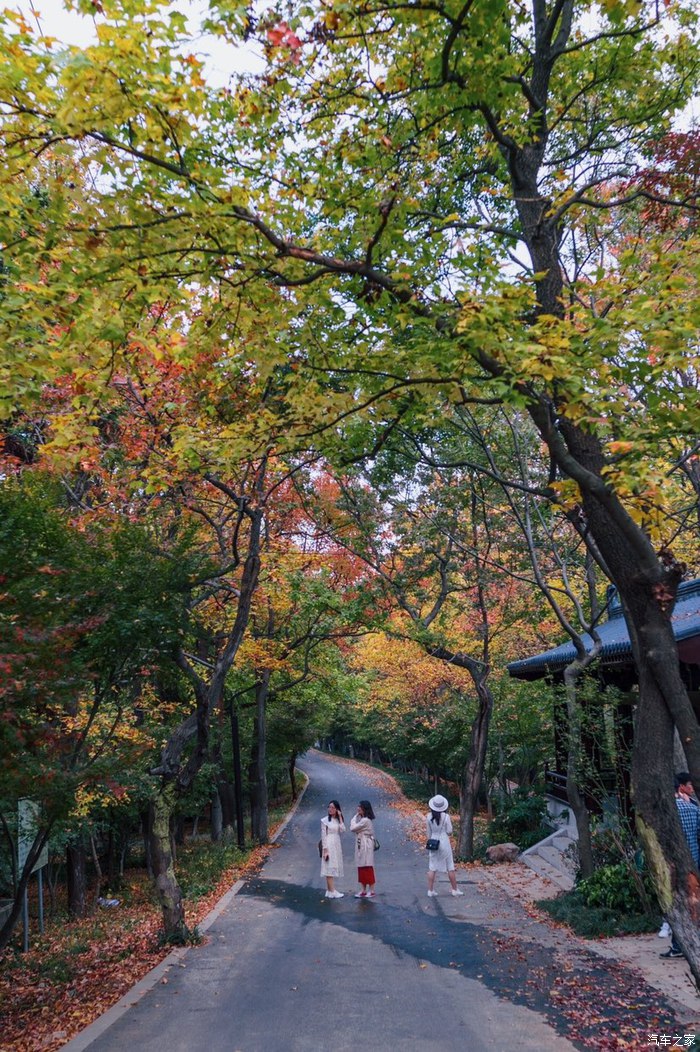 记忆自驾,从市区去温州樟里记忆自驾怎么走