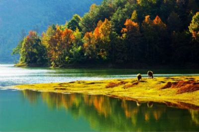 贵阳旅游景点大全,贵阳哪些旅游景点大全