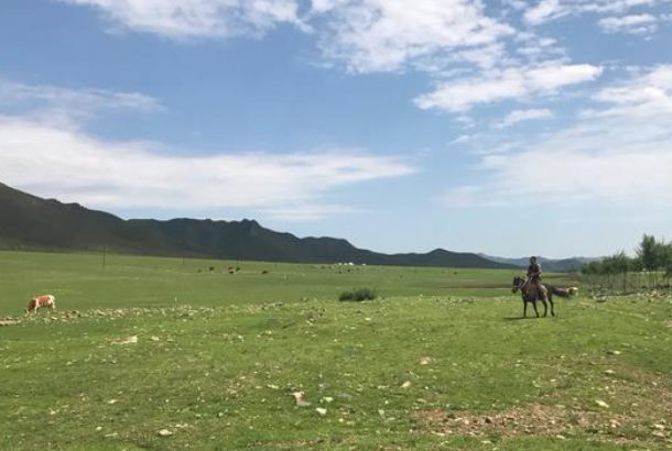 草原旅游景点,内蒙古有哪些草原旅游景点