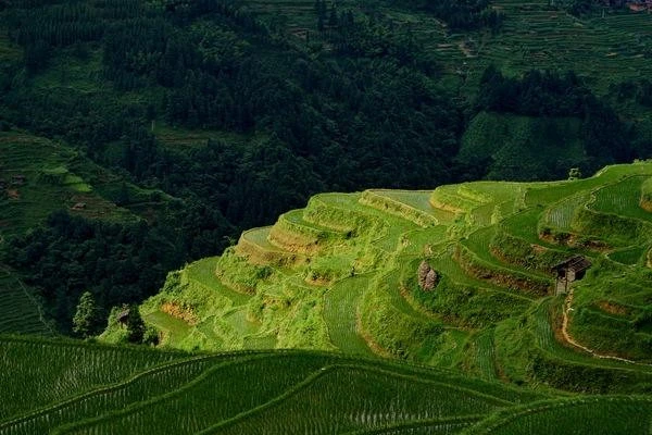 贵州的加榜梯田什么时间拍照最美（贵州加榜梯田旅游攻略）