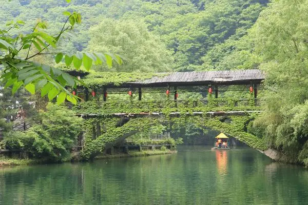 唐苑一日游,中国唐苑的唐苑现况