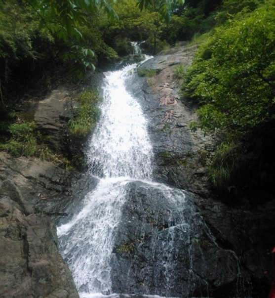 宁波免费开放的景点有哪些（宁波免费旅游景点）