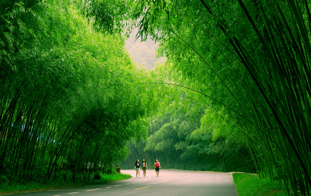 洛阳重渡沟旅游一圈大约多少钱,洛阳老君山和重渡沟哪里好玩