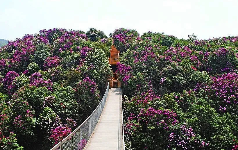 贵州省旅游景点,贵州省有哪些旅游景点