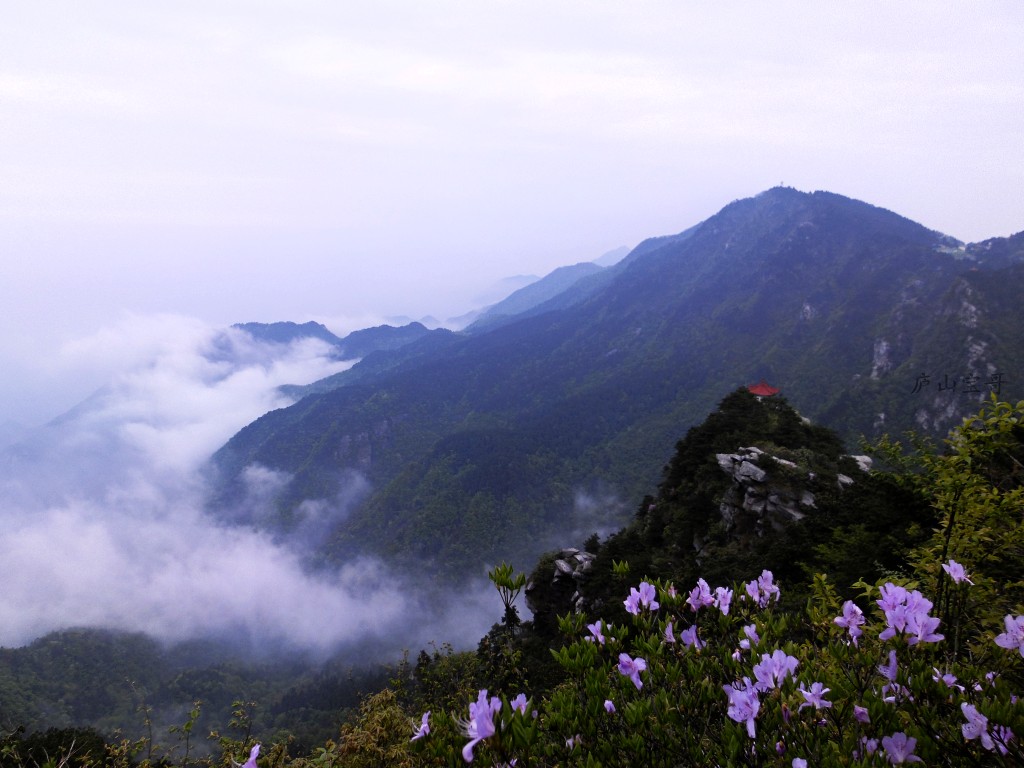 武汉到庐山旅游费用,武汉去庐山怎么去比较方便