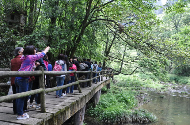 贵阳至张家界旅行团,贵阳去张家界旅游要多少钱