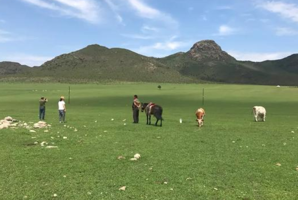 草原旅游景点,内蒙古有哪些草原旅游景点