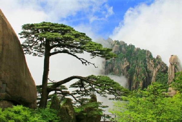 黄山一日游旅游线路,黄山一日游路线