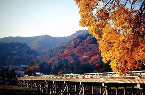 京都最有名的旅游景点是哪里（京都旅游景区攻略）