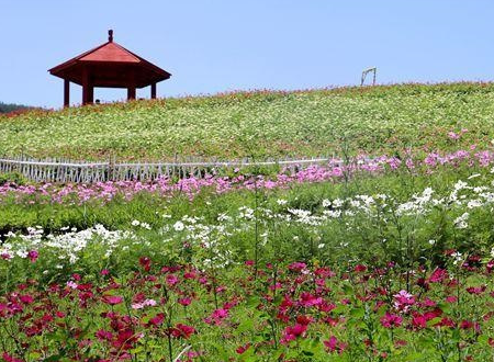 邯郸的花溪谷在什么地方（邯郸花溪谷一日游）